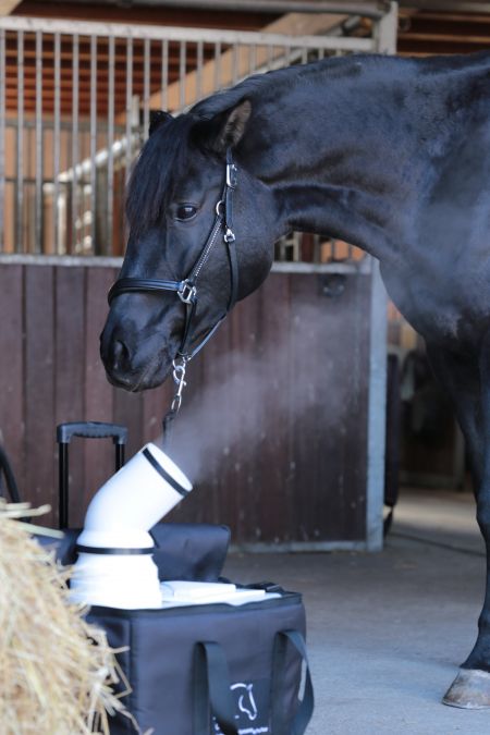 Inhalationsgerät Saltair Cavallo