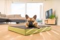 Orthopädische Hundebetten von Hohenstein - verschiedene Ausführungen