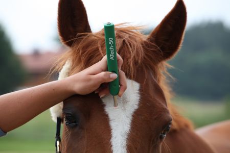 ATech 50- der handliche Rotlichlaser für Klein- und Großtiere