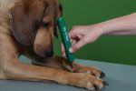 ATech 50- der handliche Rotlichlaser für Klein- und Großtiere
