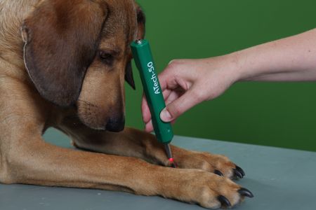 ATech 50- der handliche Rotlichlaser für Klein- und Großtiere